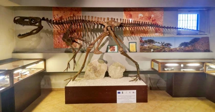 Zapraszamy do Muzeum Paleontologicznego w Lisowicach