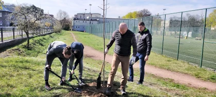 Radni sadzą drzewa