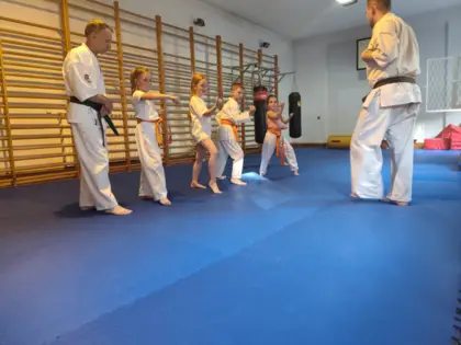 Nauka podstawowych technik, postaw i zasad karate 2