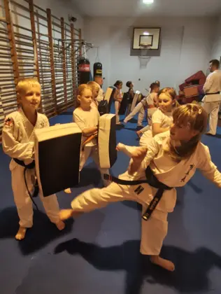 Nauka podstawowych technik, postaw i zasad karate 5
