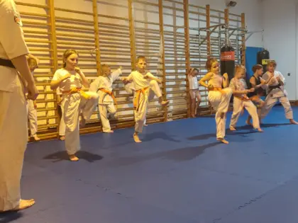 Nauka podstawowych technik, postaw i zasad karate 4