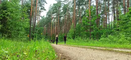 Do projektu Nasz Powiat Nasze Pasje włączyli się instruktorzy Nordic Walking z certyfikatem Polskiego Związku Lekkiej Atletyki