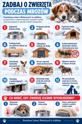 Informacja Powiatowego Lekarza Weterynarii w Lublińcu dot. opieki nad zwierzętami w okresie niskich temperatur